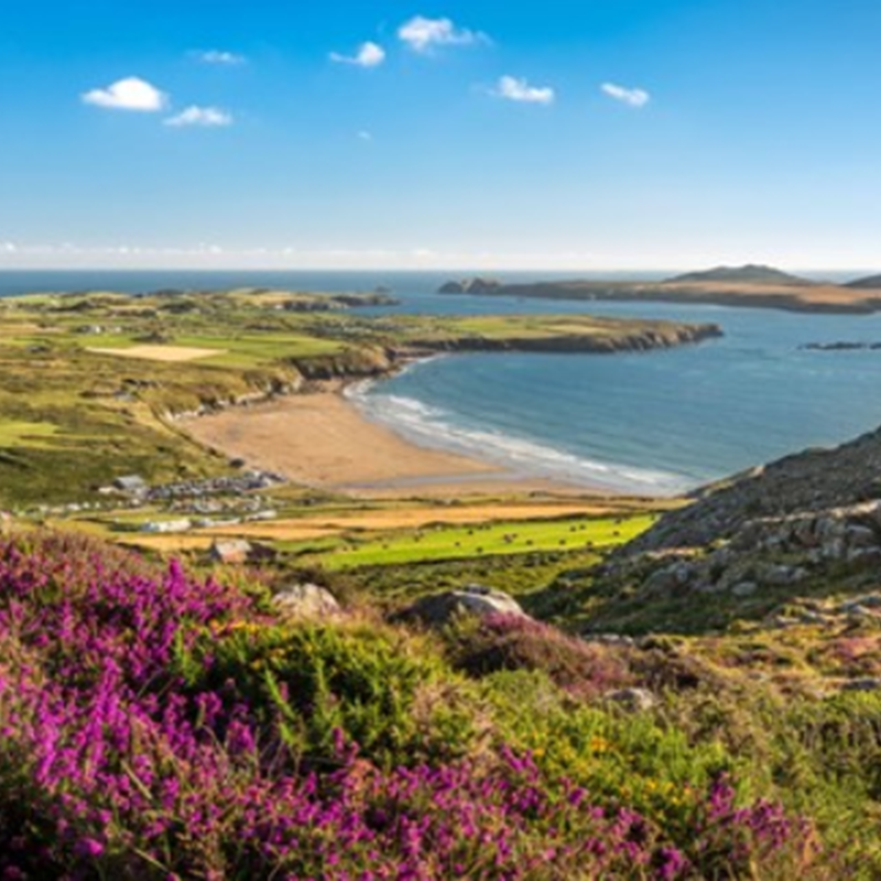 Explore Pembrokeshire